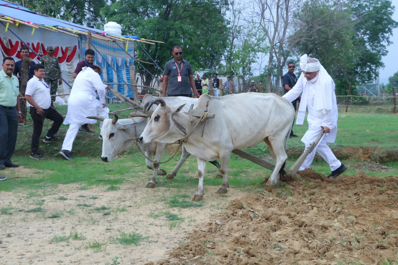 खेत में सीएम भूपेश ने चलाया नागर बैल