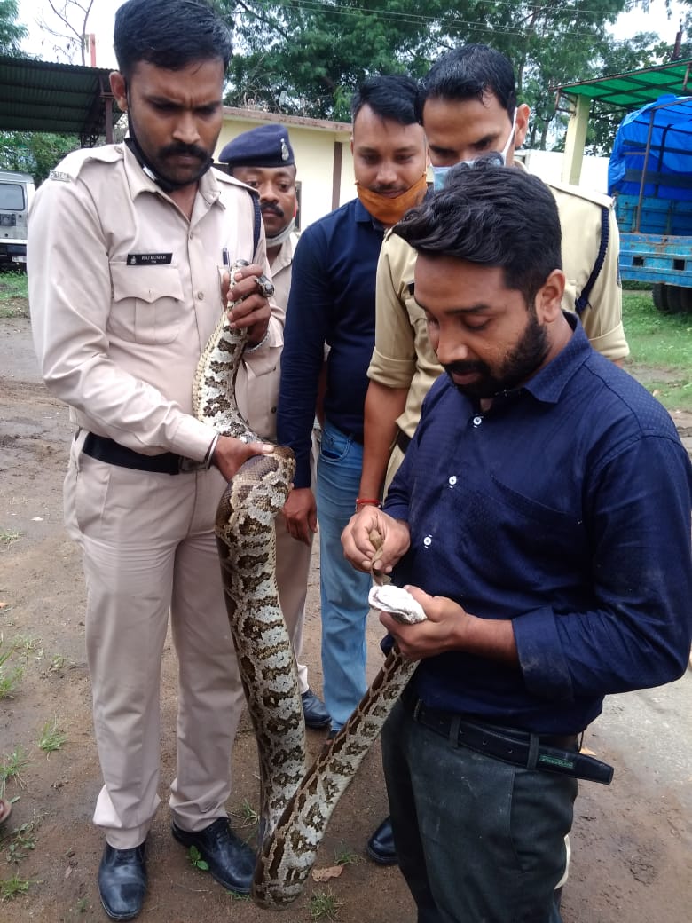 the giant dragon entered korba police line