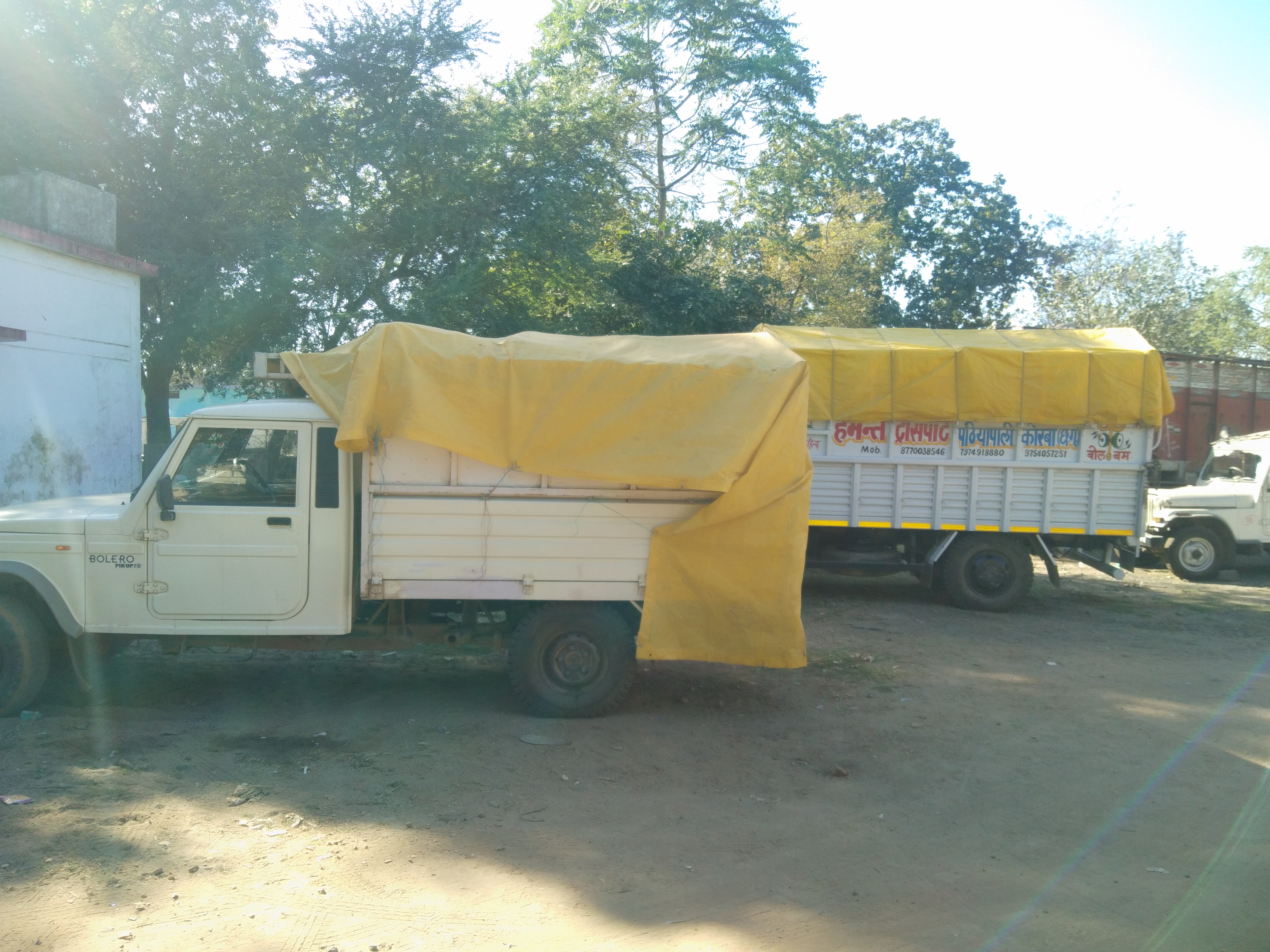 Barpali Tehsildar seizes 192 quintals of illegal paddy in janjgir champa