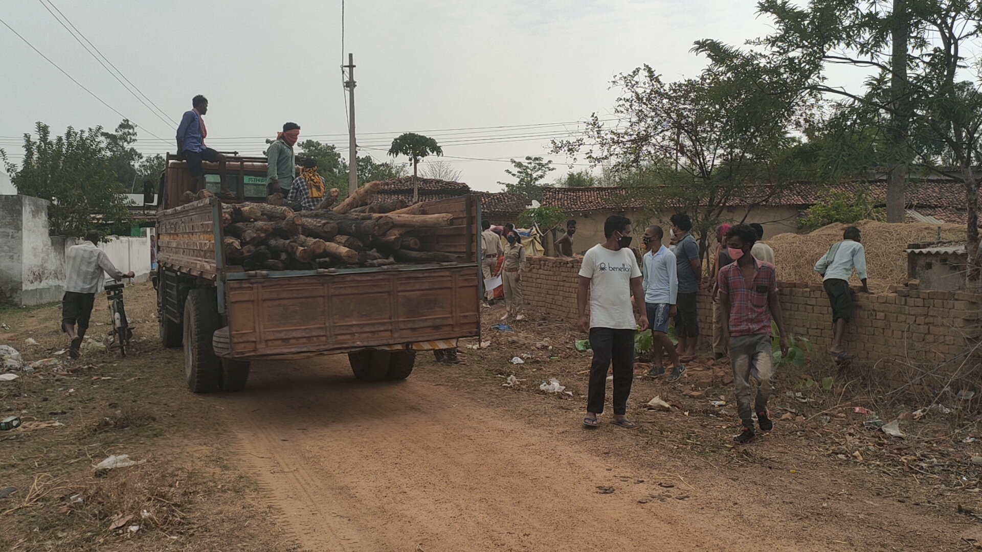 villagers cut fourty five trees