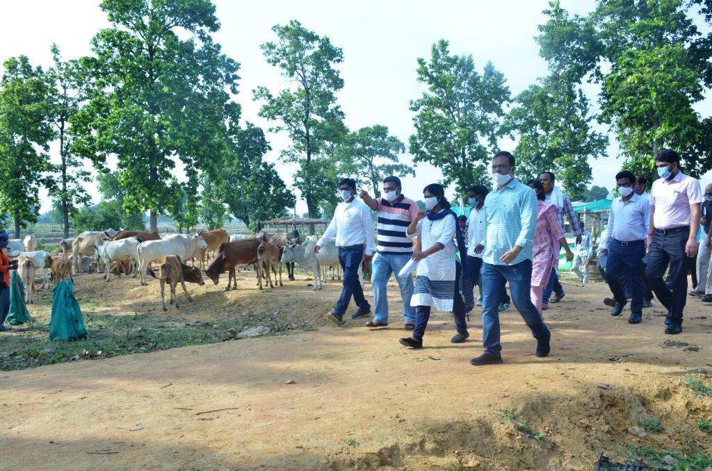 Collector Kiran Kaushal inspected Gauthan  in Amarpur