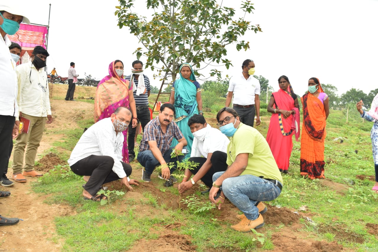 Plantation in Jejra of Janpad Panchayat Katghora