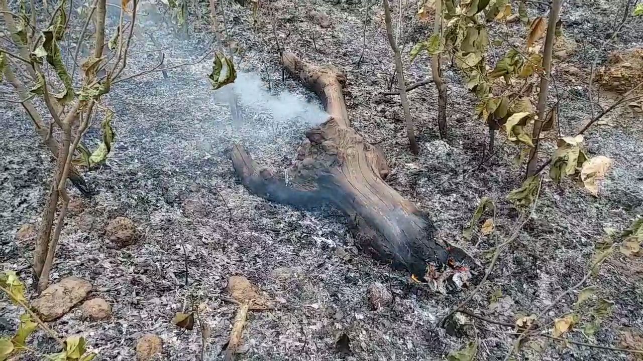 continuous-fire-spreading-in-forests-of-korba-forest-division