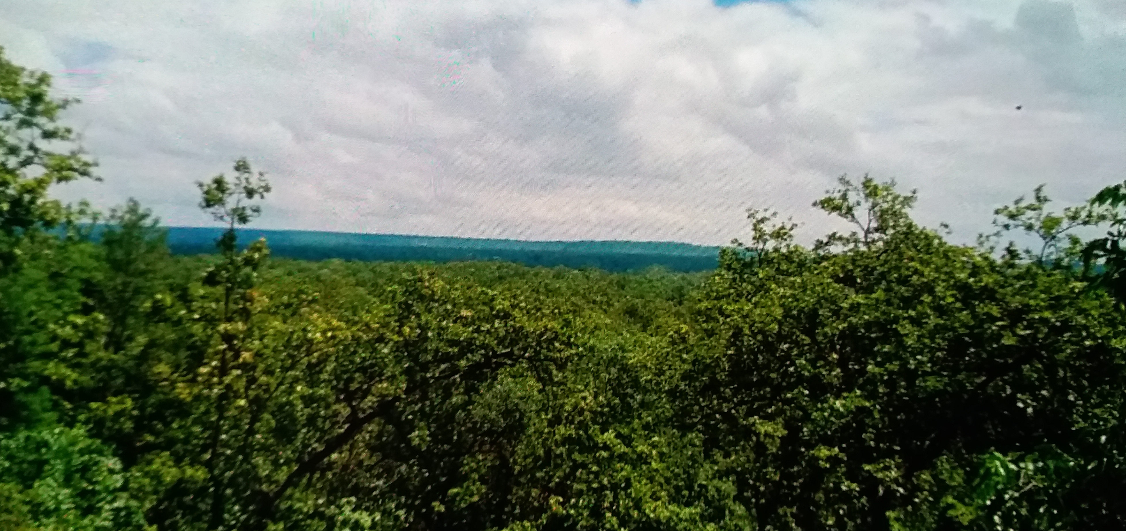 Forests of Upora Block