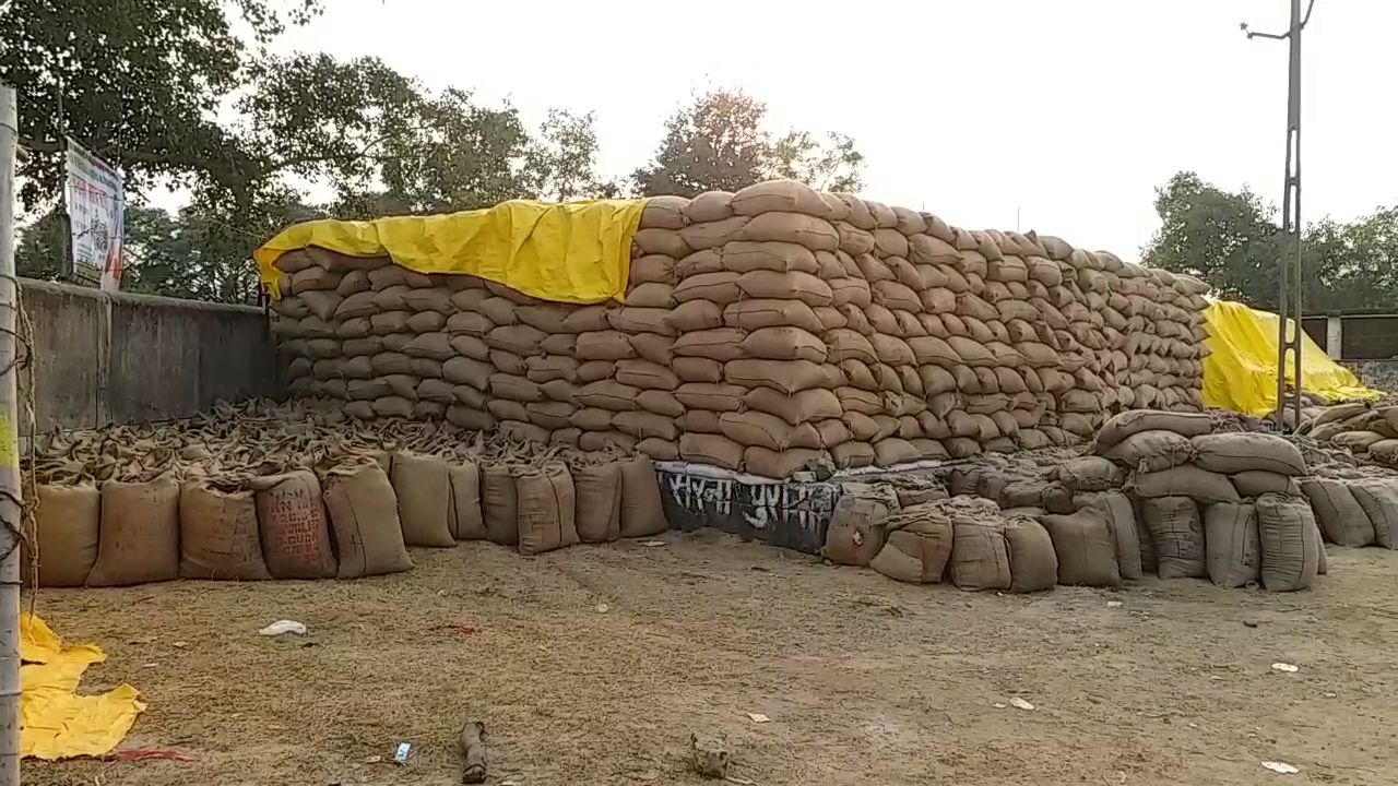 preparation for paddy purchase in Korba