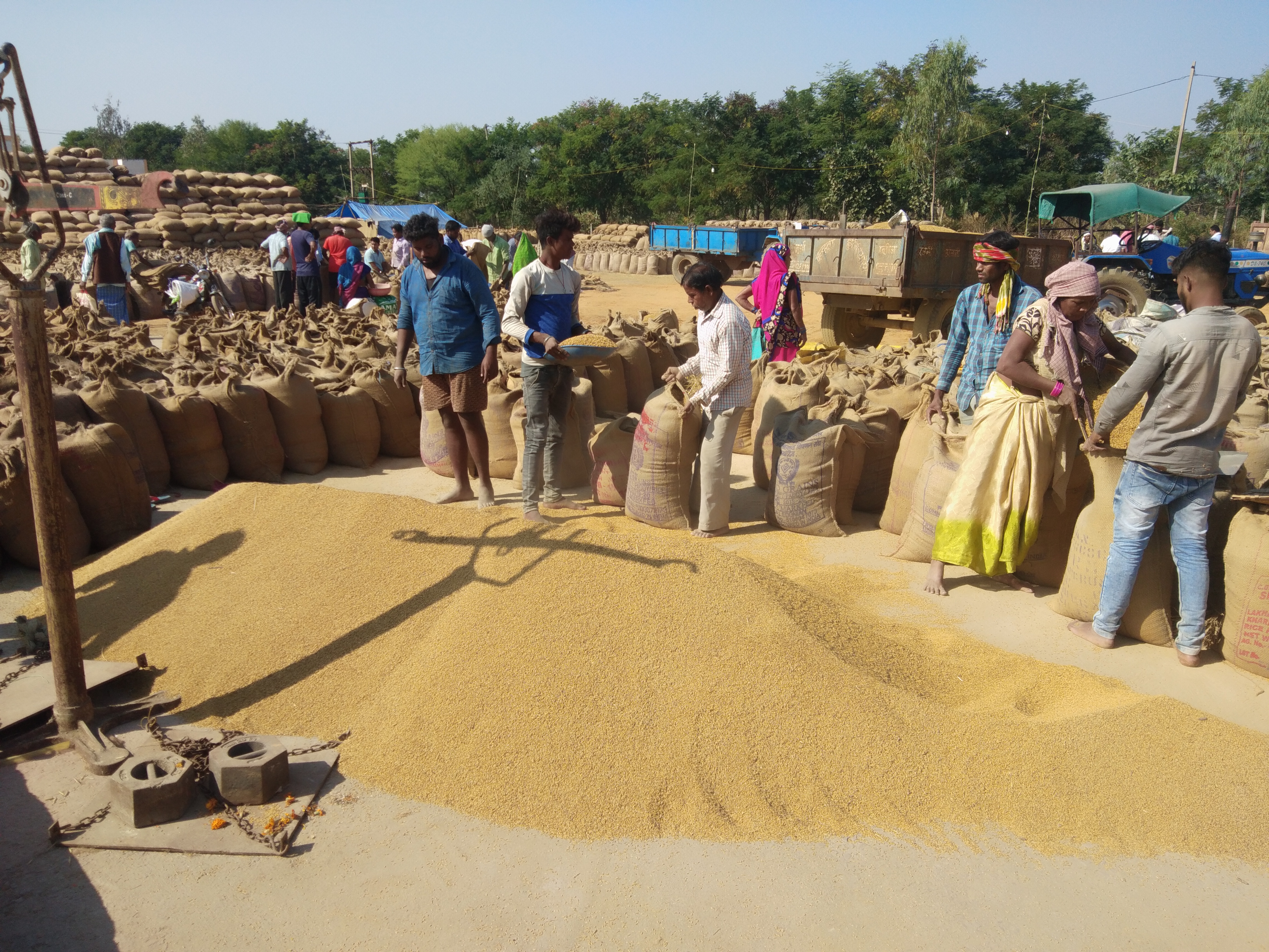 Farmers in trouble over paddy purchase in Kothari Gram Panchayat in korba