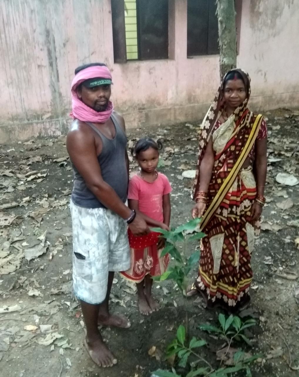 Migrant laborers plant sapling