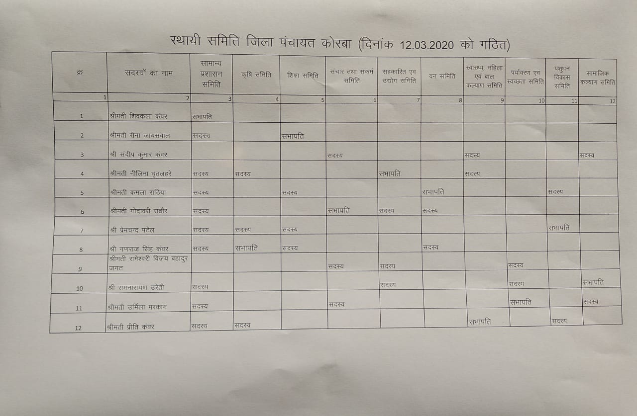 Chairman of committees decided in district panchayat in korba