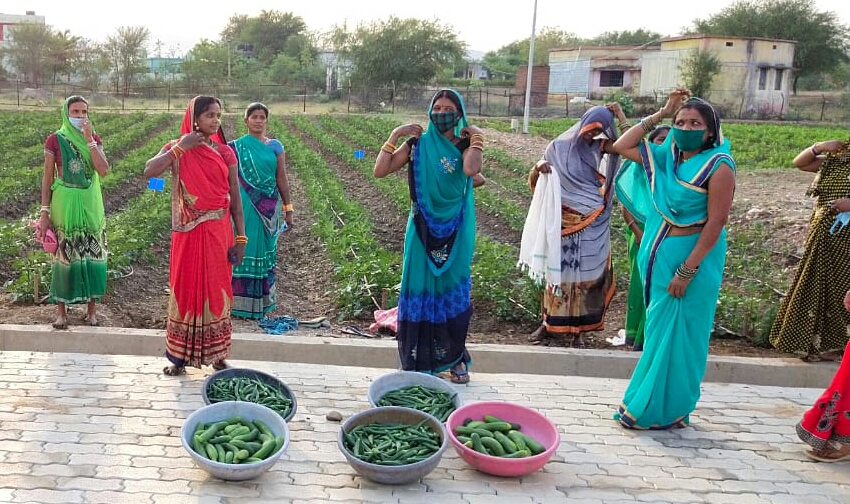 women of Kawardha are working hard and growing vegetables in barren land