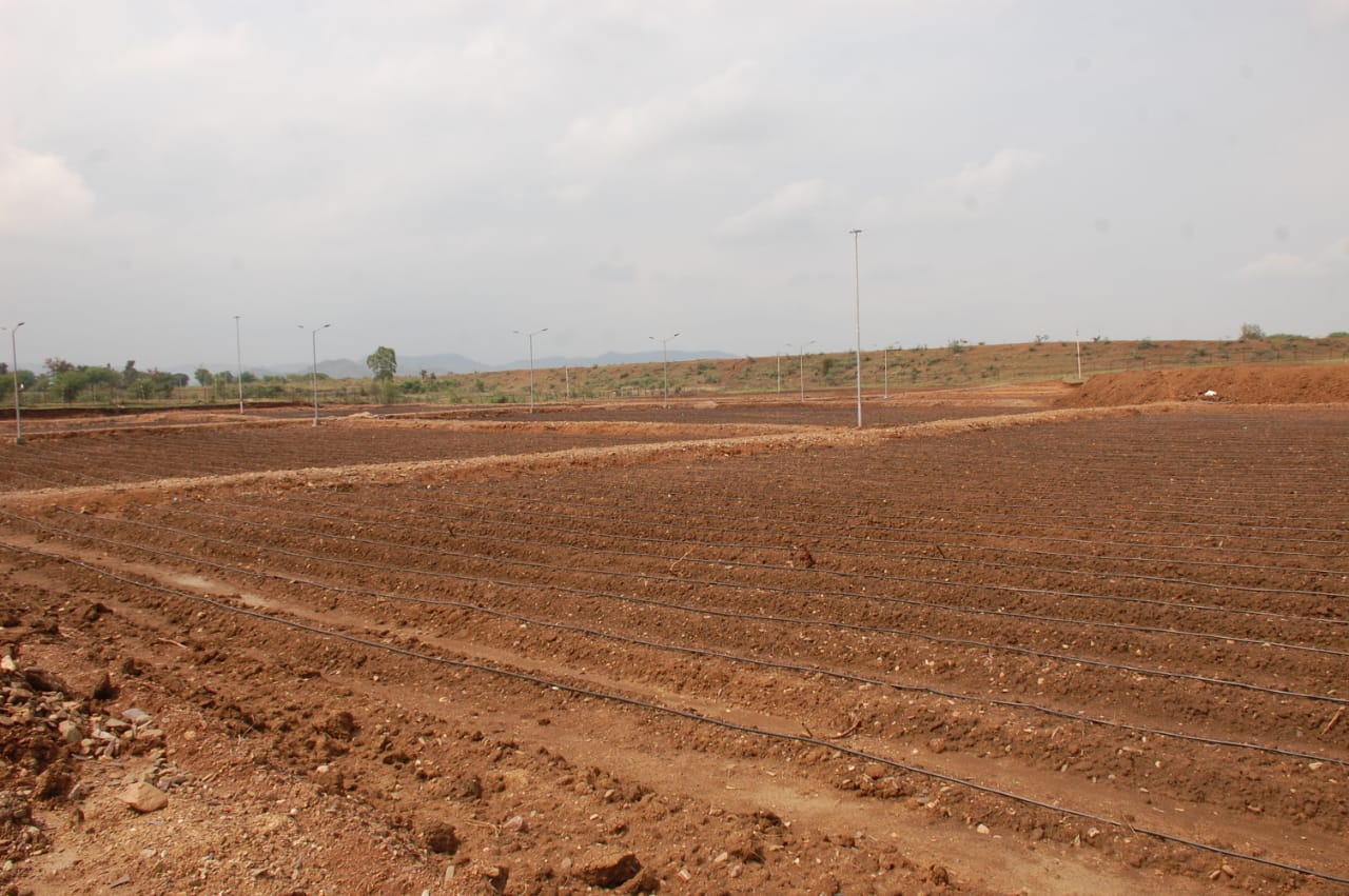 women of Kawardha are working hard and growing vegetables in barren land