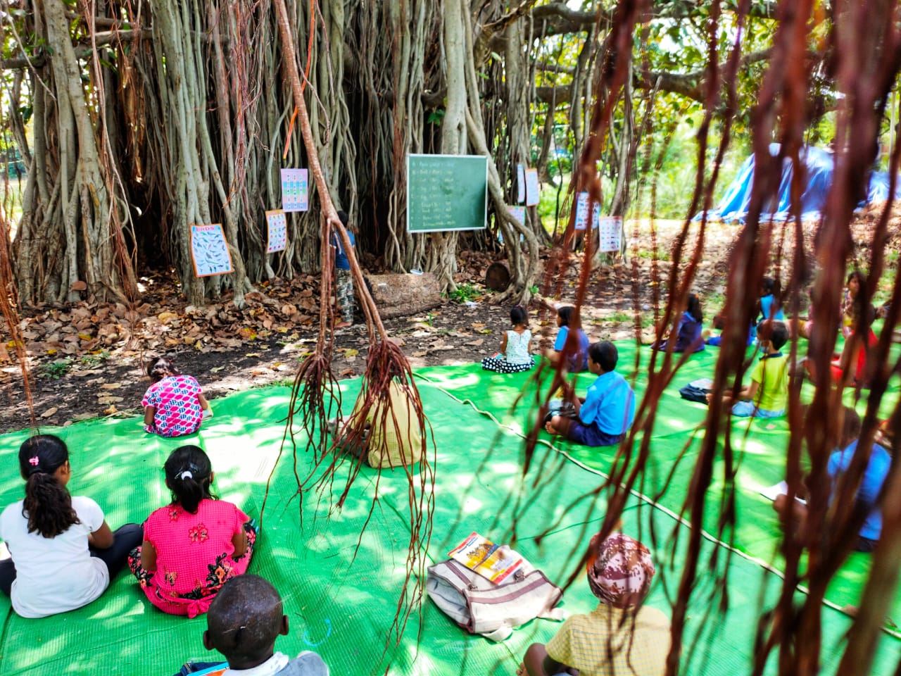 mohalla class under banyan tree in kawardha