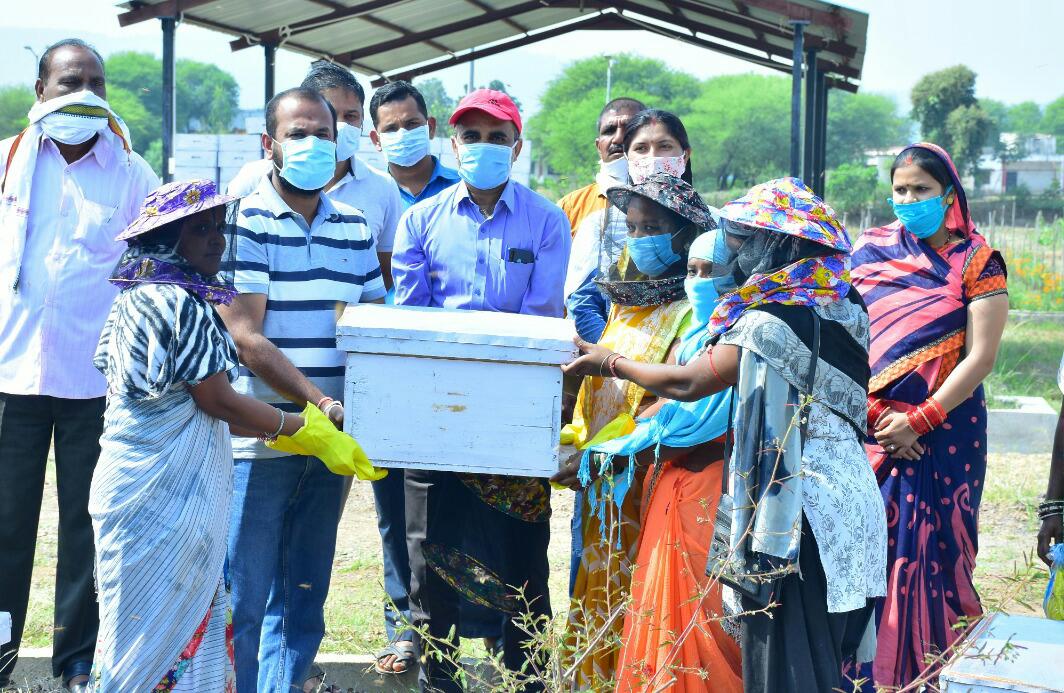 Beekeeping in kawardha