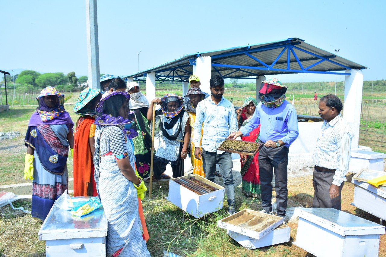 Training on beekeeping