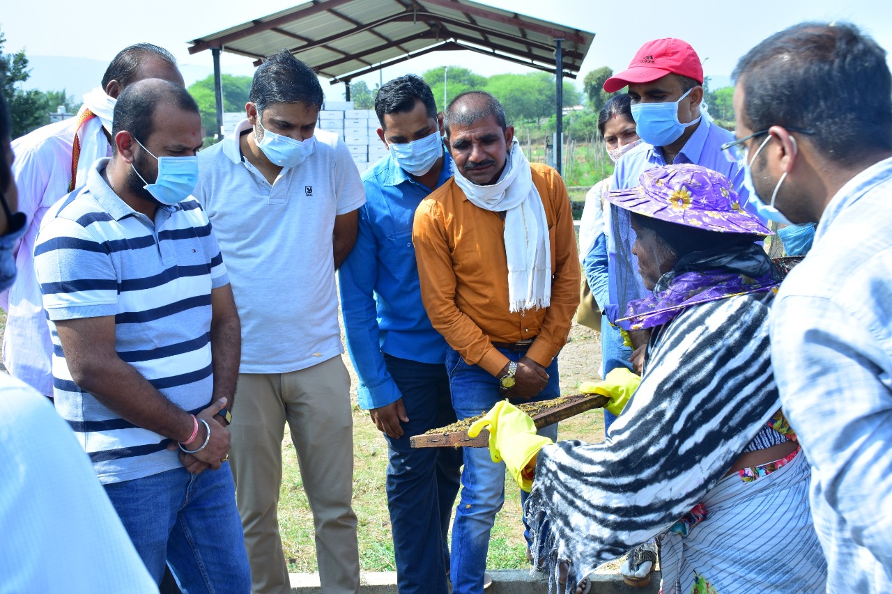 Beekeeping in Kawardha