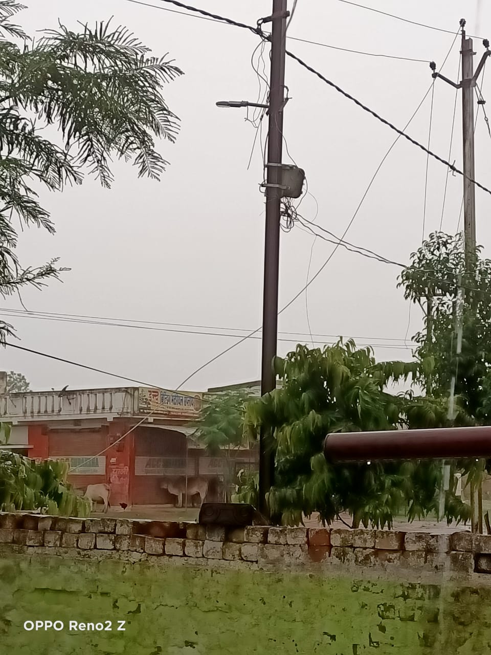 Pregnant woman dies due to high tension wire