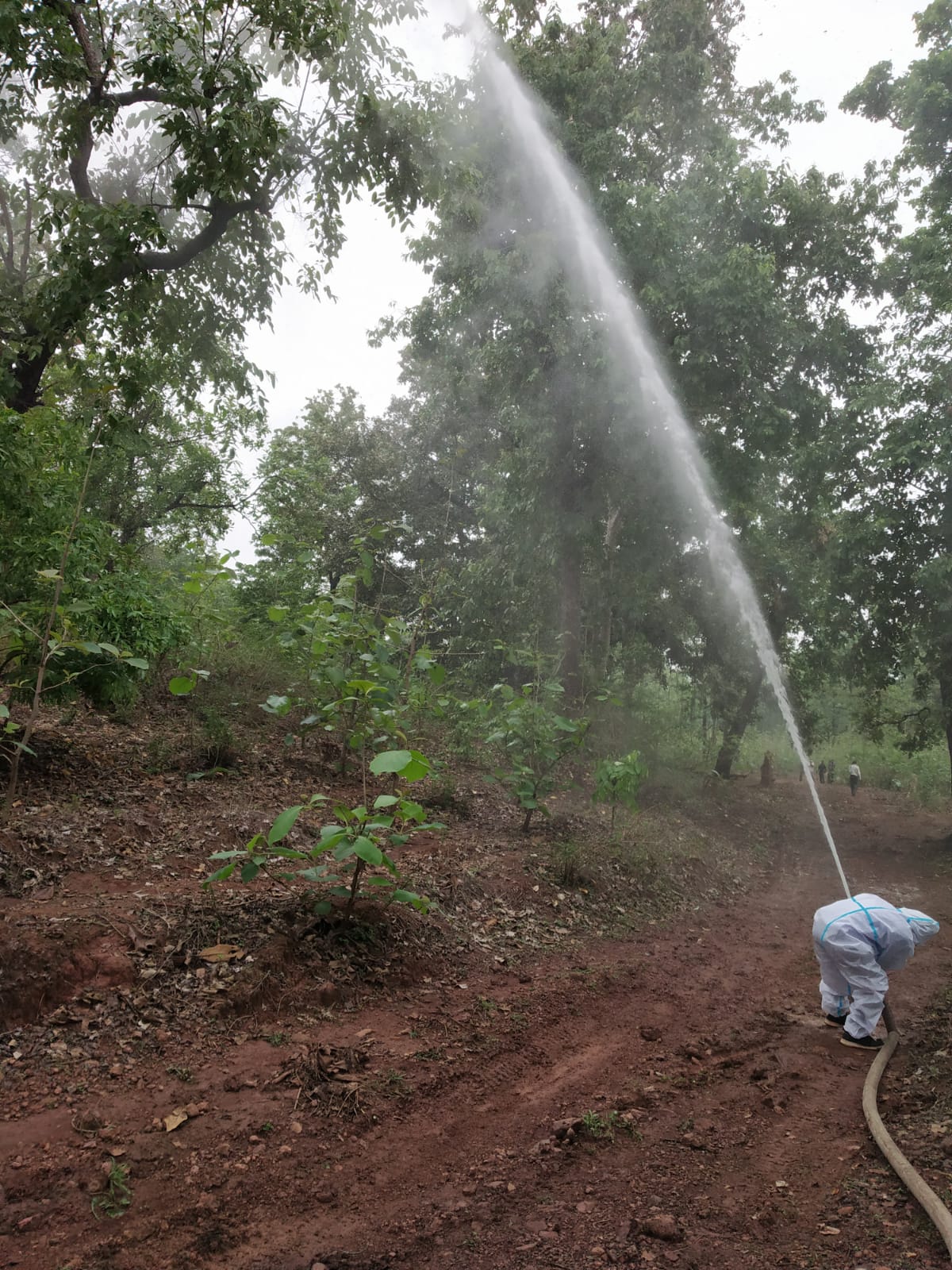 forest and agriculture department try to control Locust through Insecticide