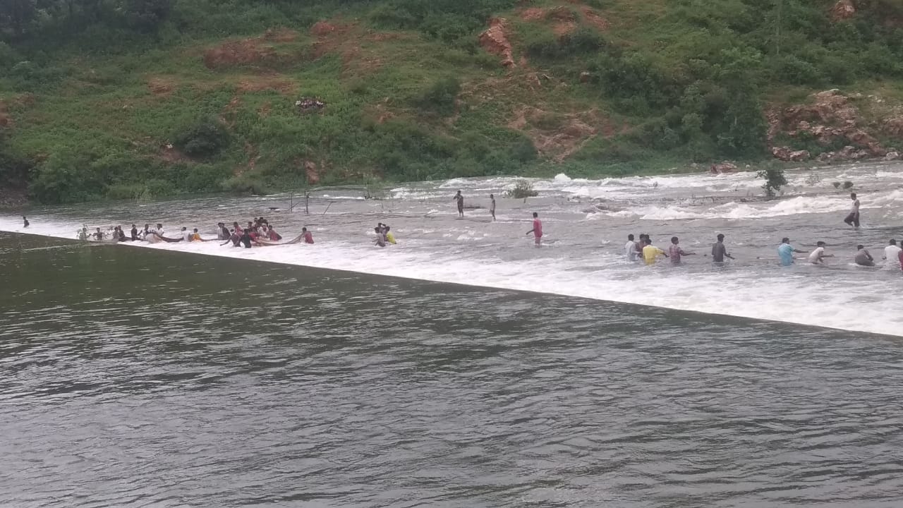 Villagers jumped into flood to catch fish in kawardha