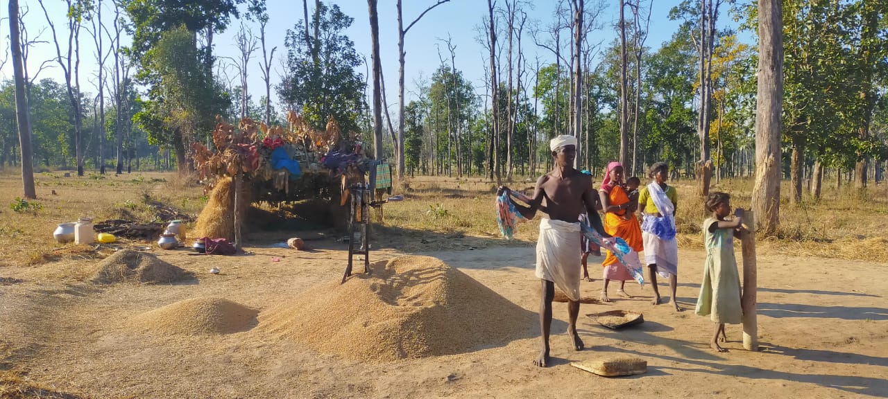 Tribals illegally occupied forest land by cutting down trees in forest of Rengkhar Range