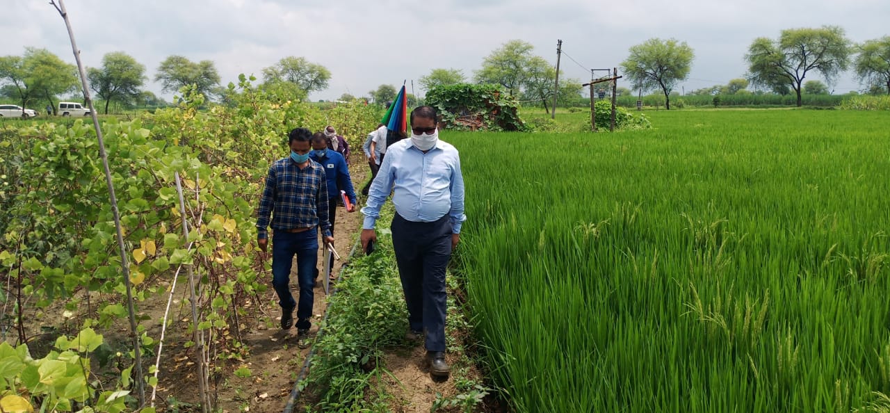 Durg commissioner inspected the farms of Kawardha