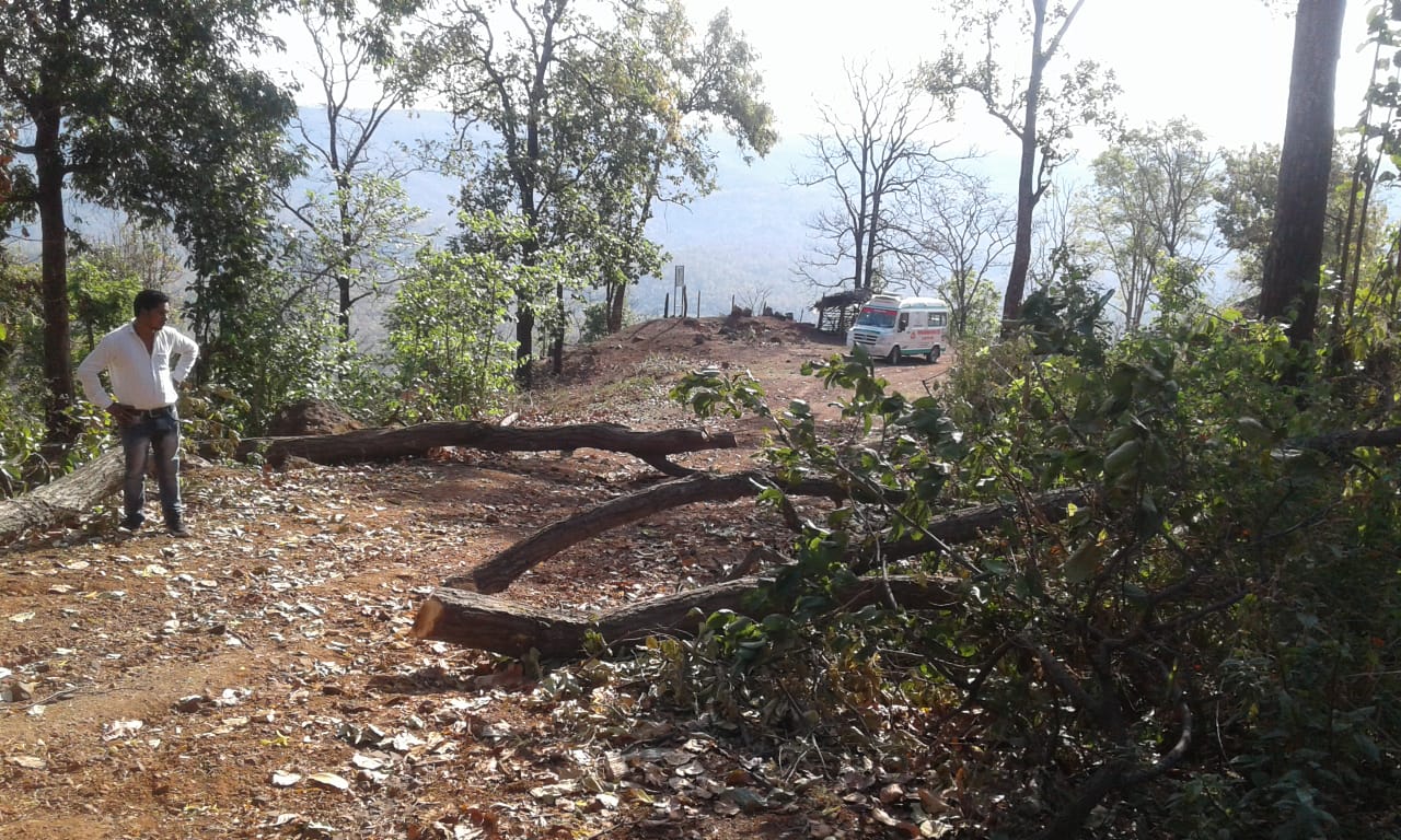 Villagers cutting trees and blocking  road in Kawardha