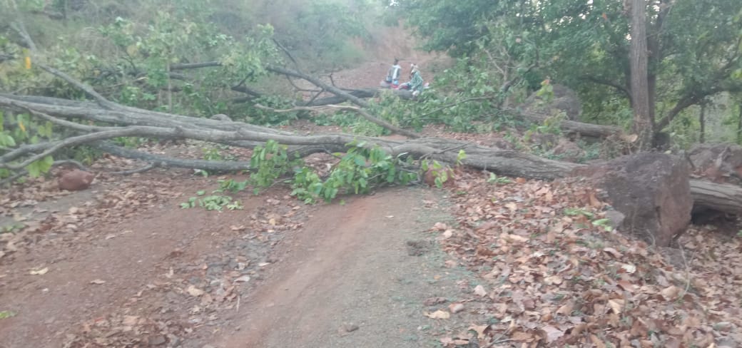 Villagers cutting trees and blocking  road in Kawardha