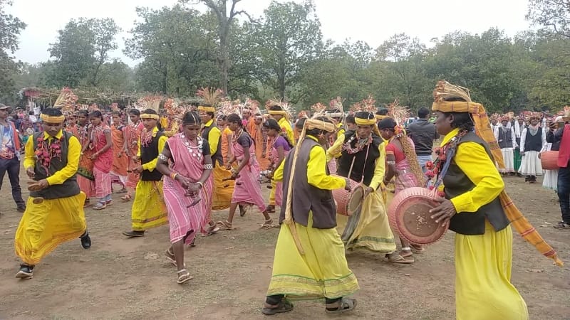 Baiga tribal society saved  Special tradition