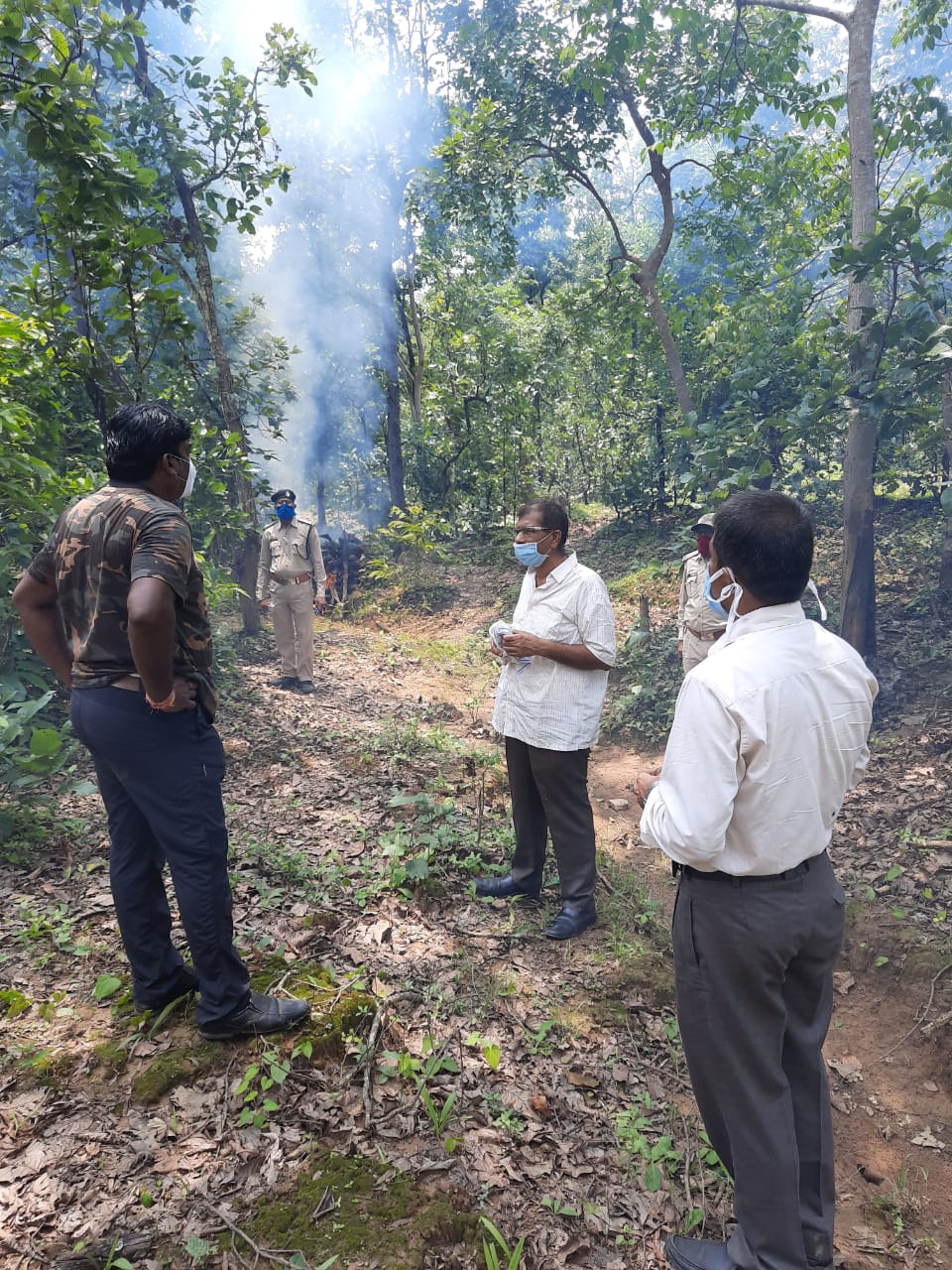 Investigating Forest Department