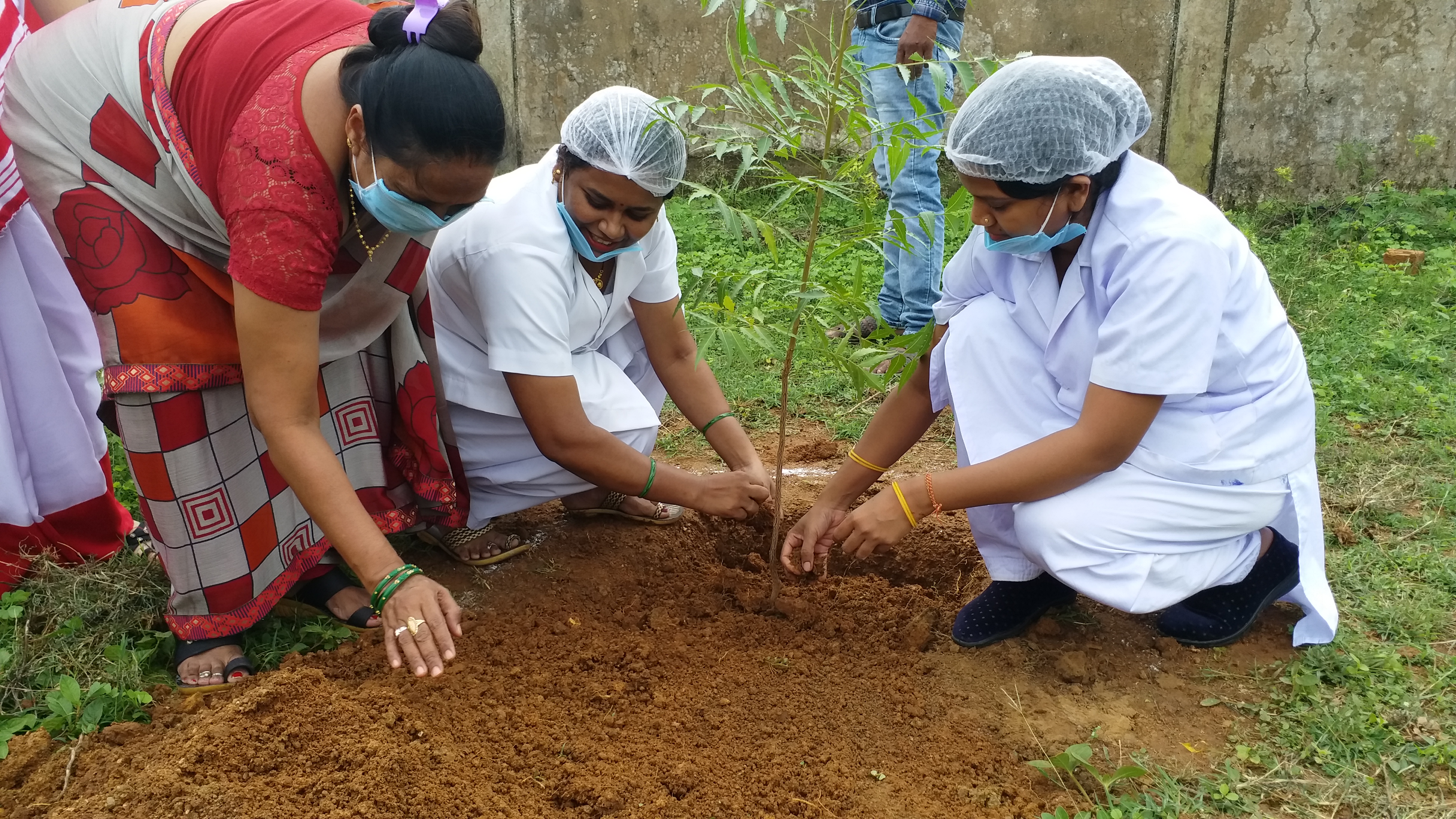 Health worker did plantation