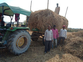 People collecting paira in Gouthans under Suraji village scheme in mahasamund