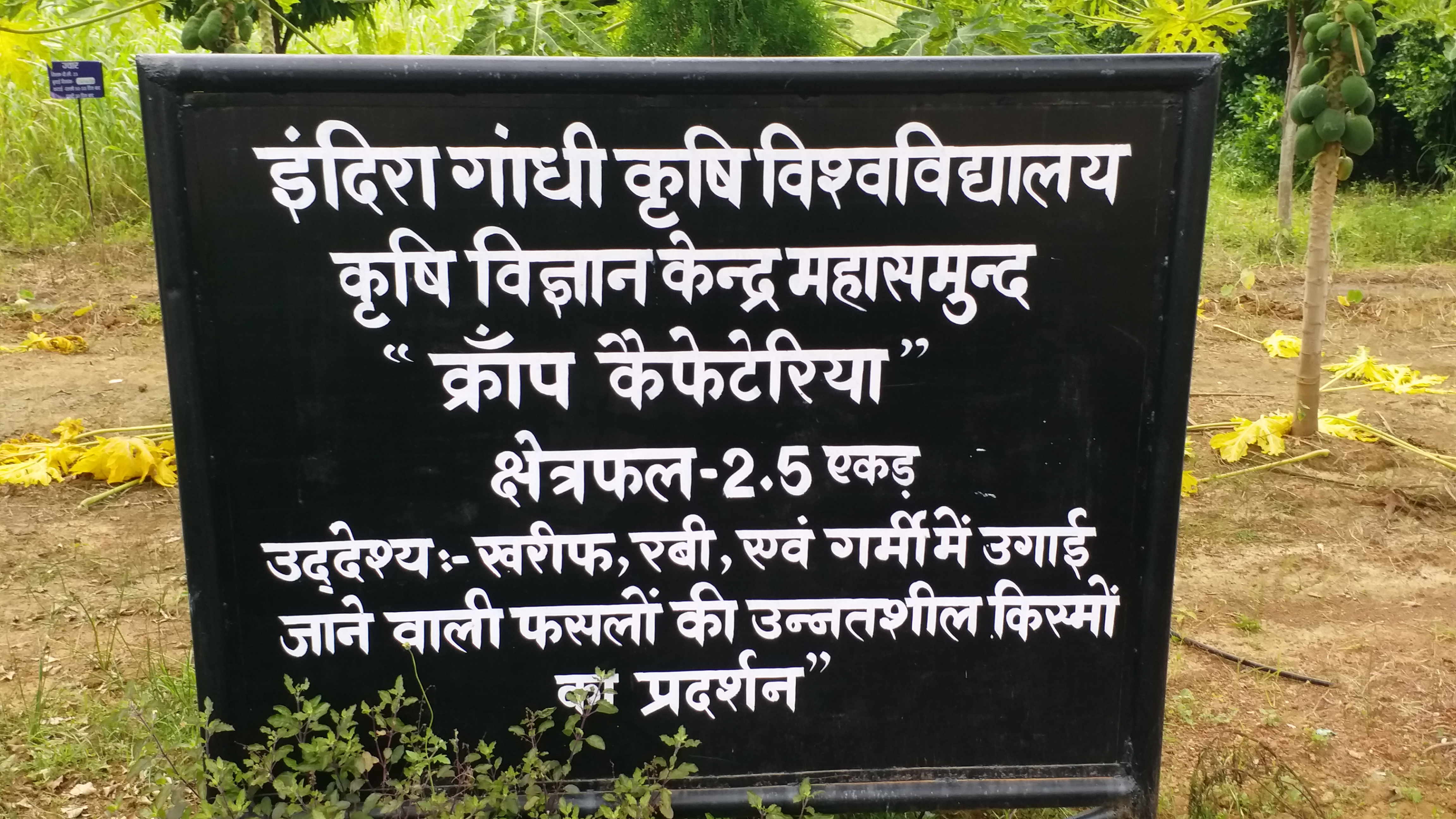 Agricultural Science Center Mahasamund