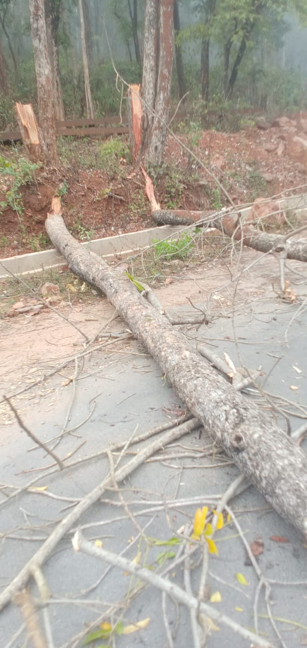 Naxalites road jam on Narayanpur-Orchha road