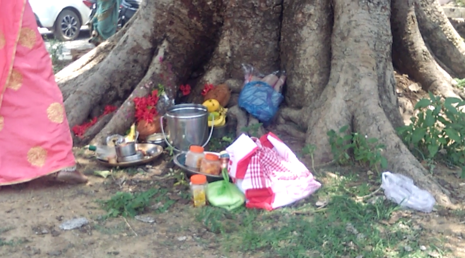 vat savirti pooja done by married women in kawardha