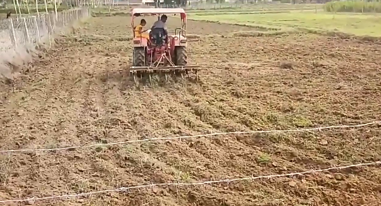 farmers-busy-planting-paddy-in-pakhanjur