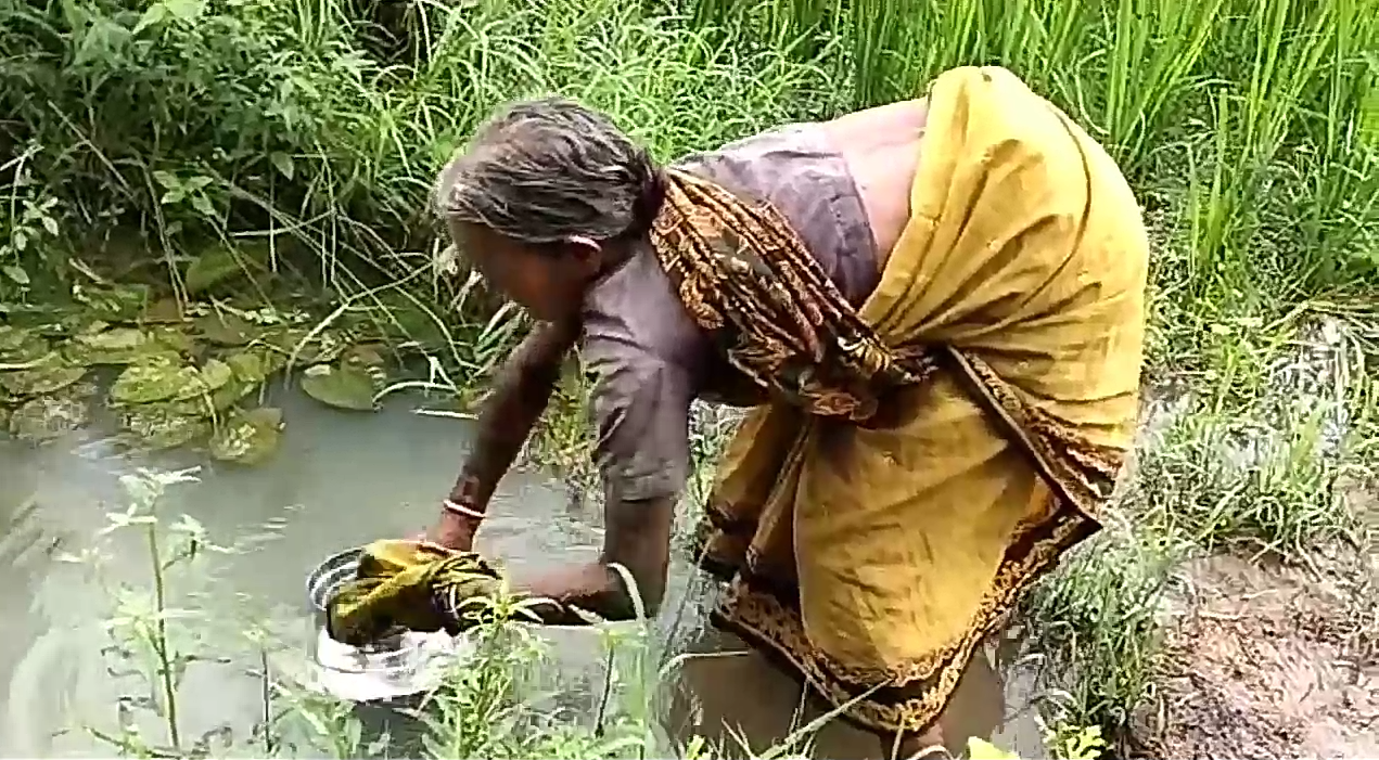 Women of Azadpara in Kanker are filling the water of the drain