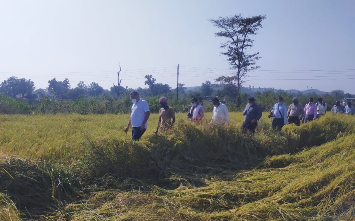 Department of Agriculture is preparing to do organic farming to farmers in raigarh