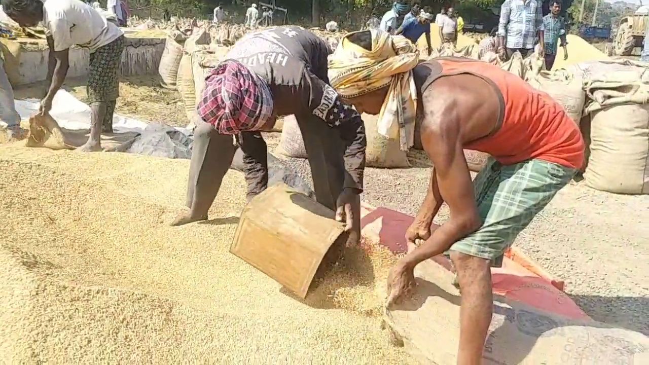 paddy purchasing fraud news raigarh