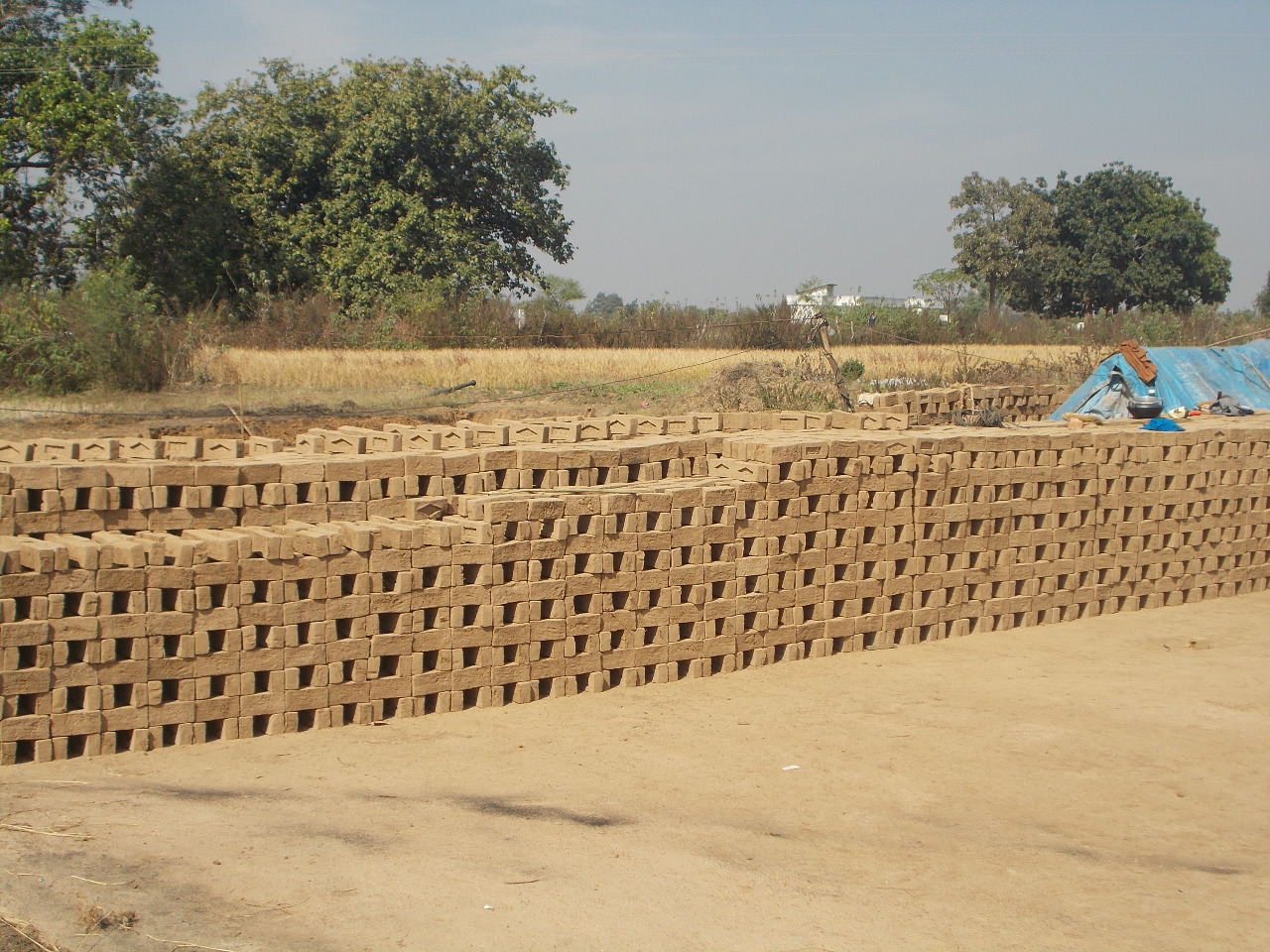 Revenue reduced due to illegal red brick kiln business in Sarangarh area in raigarh