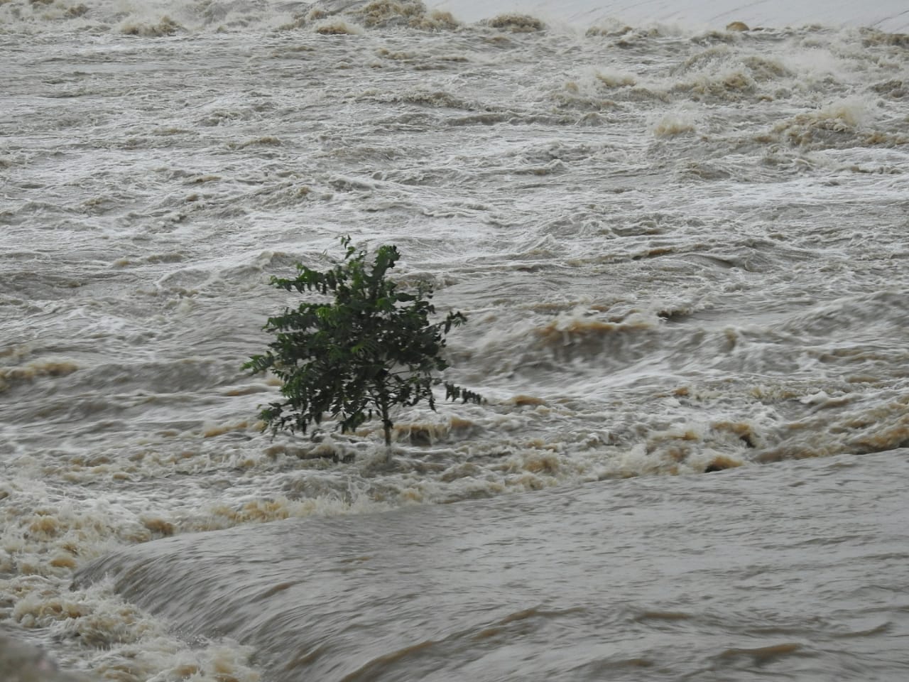 barrage gates built in Khairagarh have have started breaking due to heavy rains