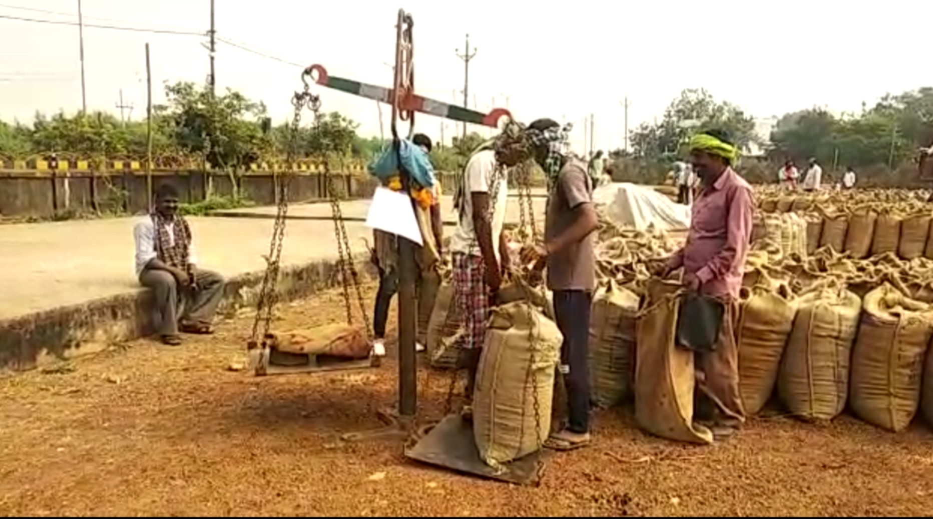 Paddy purchased in Chhattisgarh