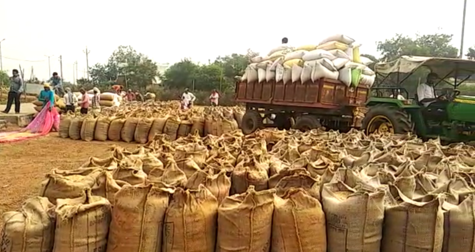 Paddy purchased in Chhattisgarh