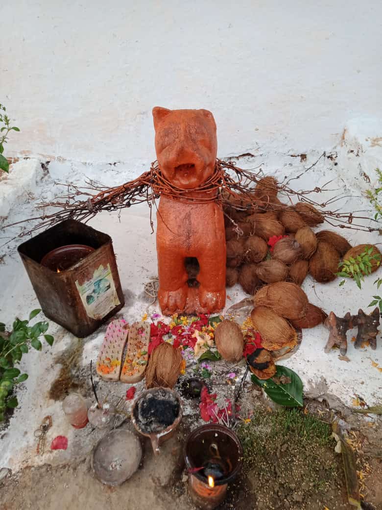 charmukha devta dongargaon