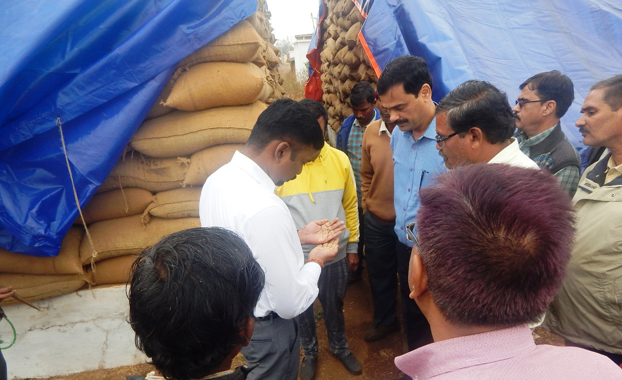 Collector suspended officers due to chaos in paddy procurement centers