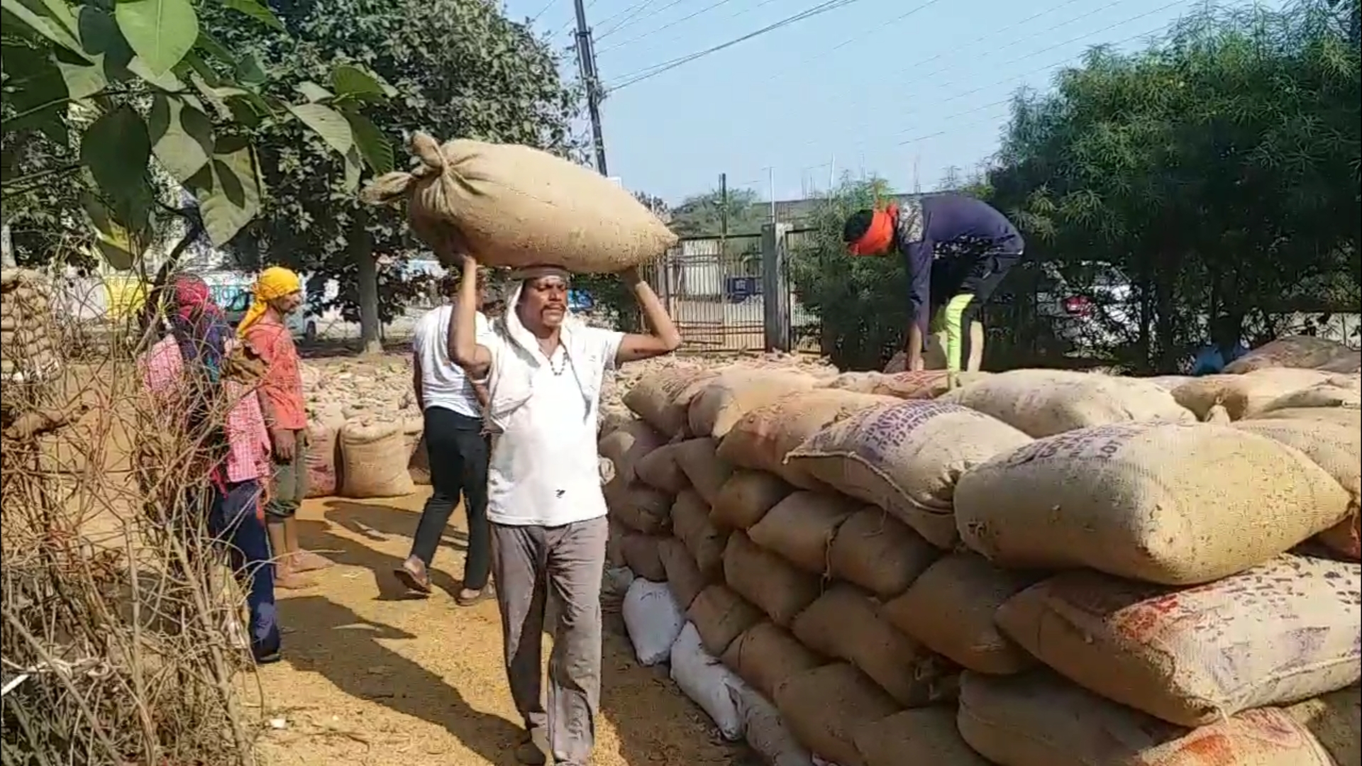 Paddy procurement started in Raipur