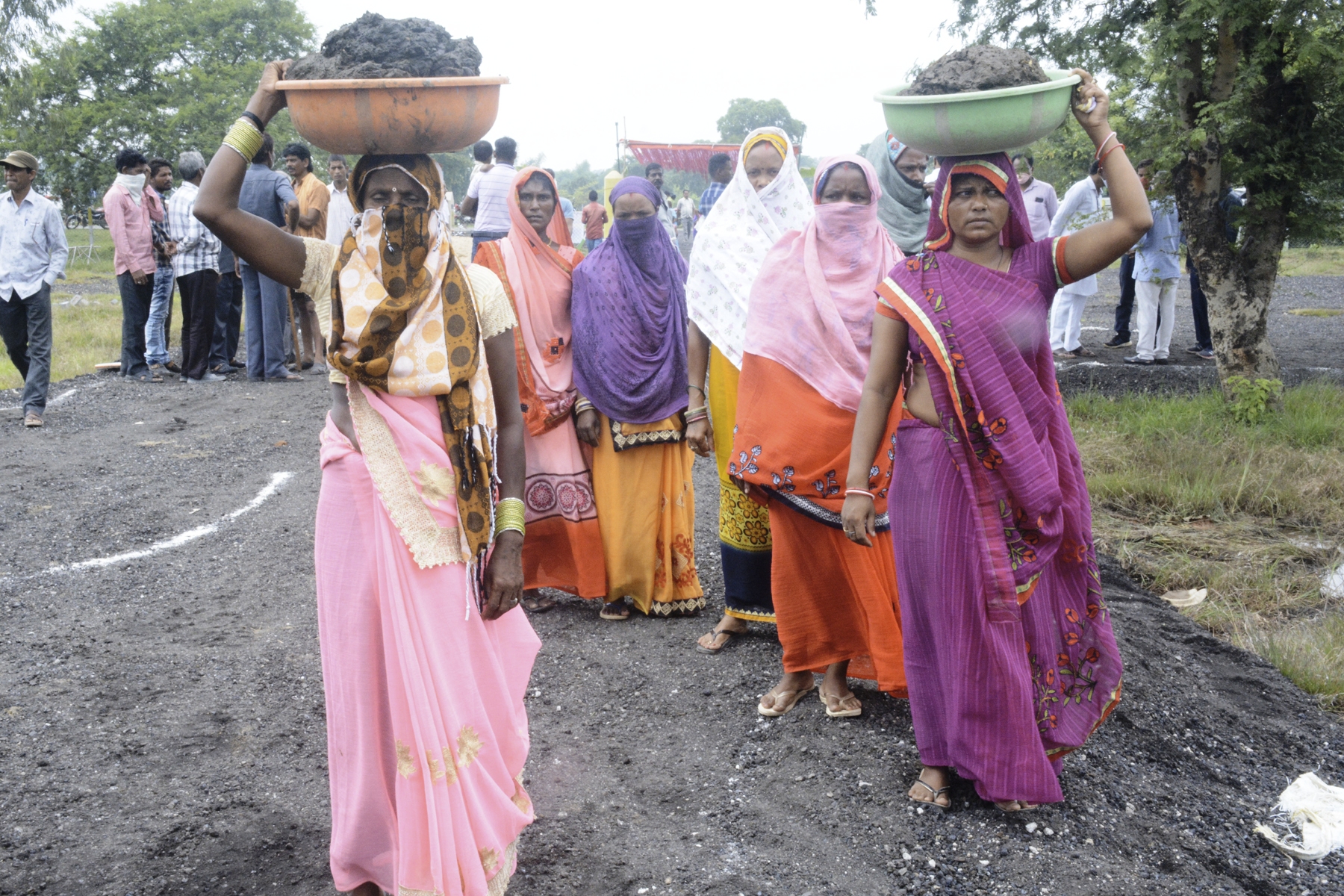 cow-dung-purchased-from-many-districts-