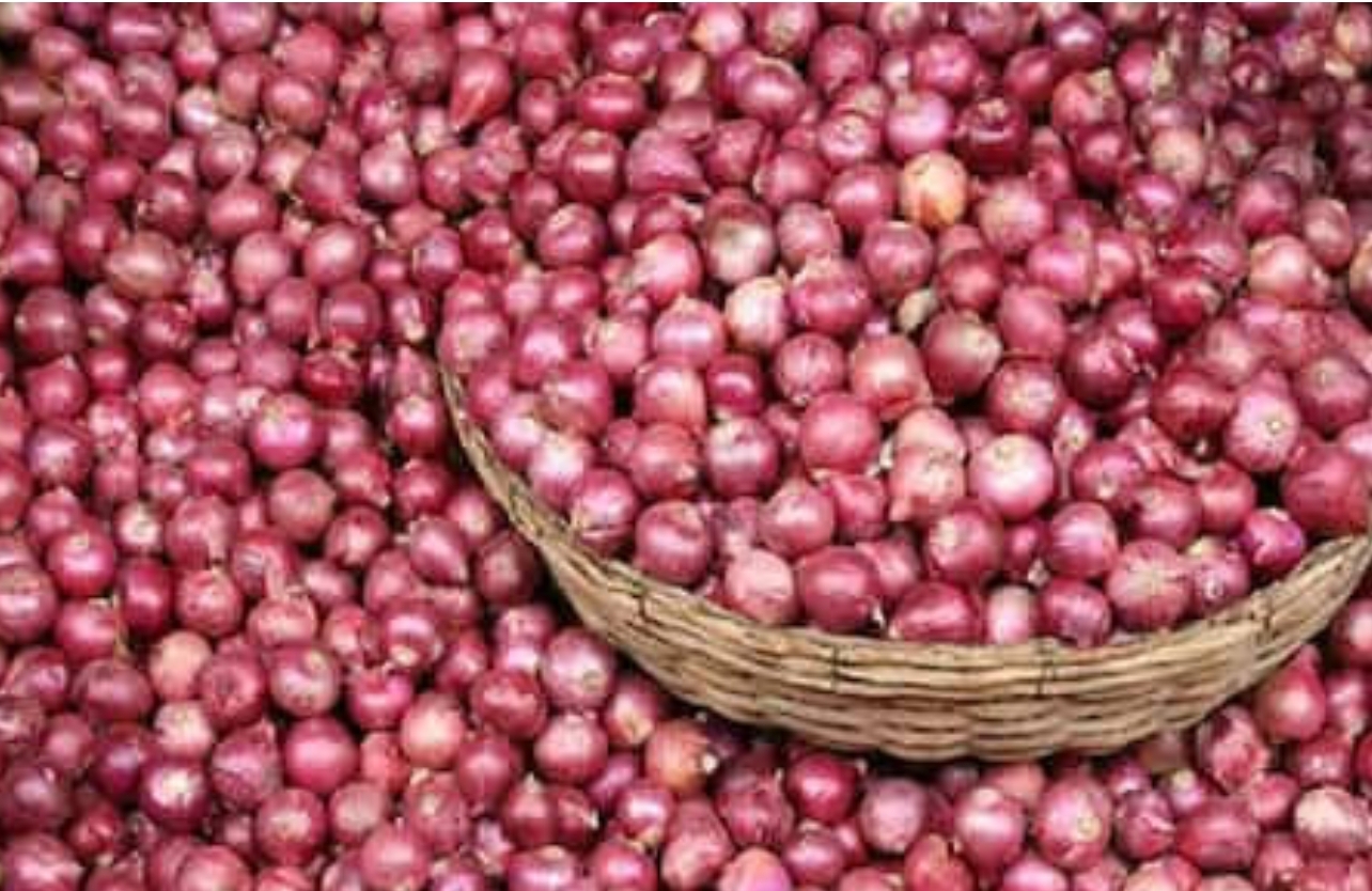 Govt imposes stock limit on onion traders to check prices