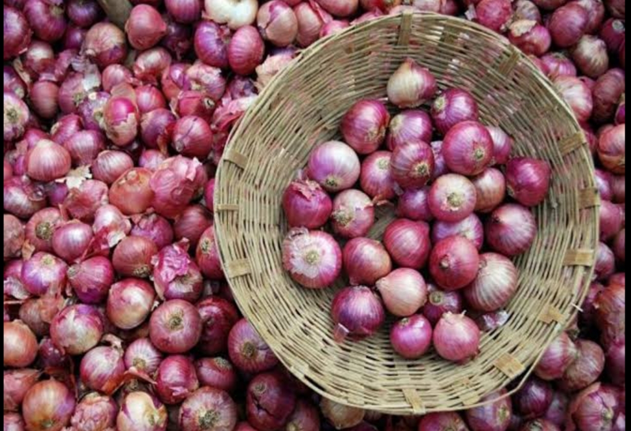 vegetable and fruit price in raipur