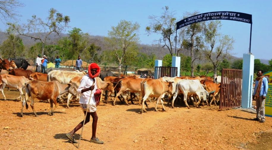 roka-cheka campaign will be made more effective in rural areas of chhattisgarh