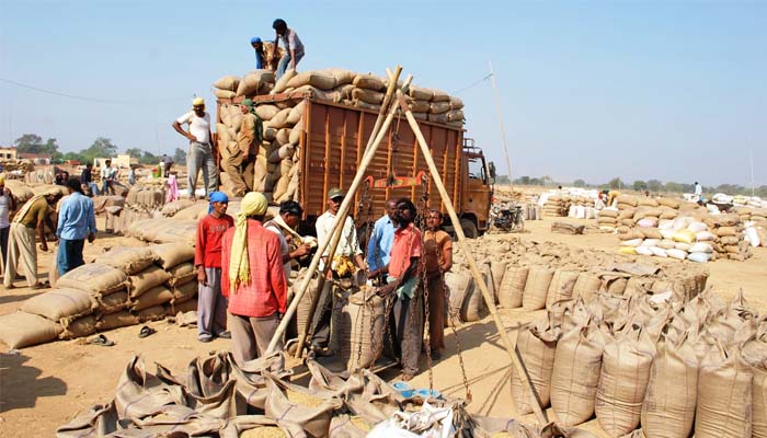 Old gunny bags will be used to buy paddy in Chhattisgarh