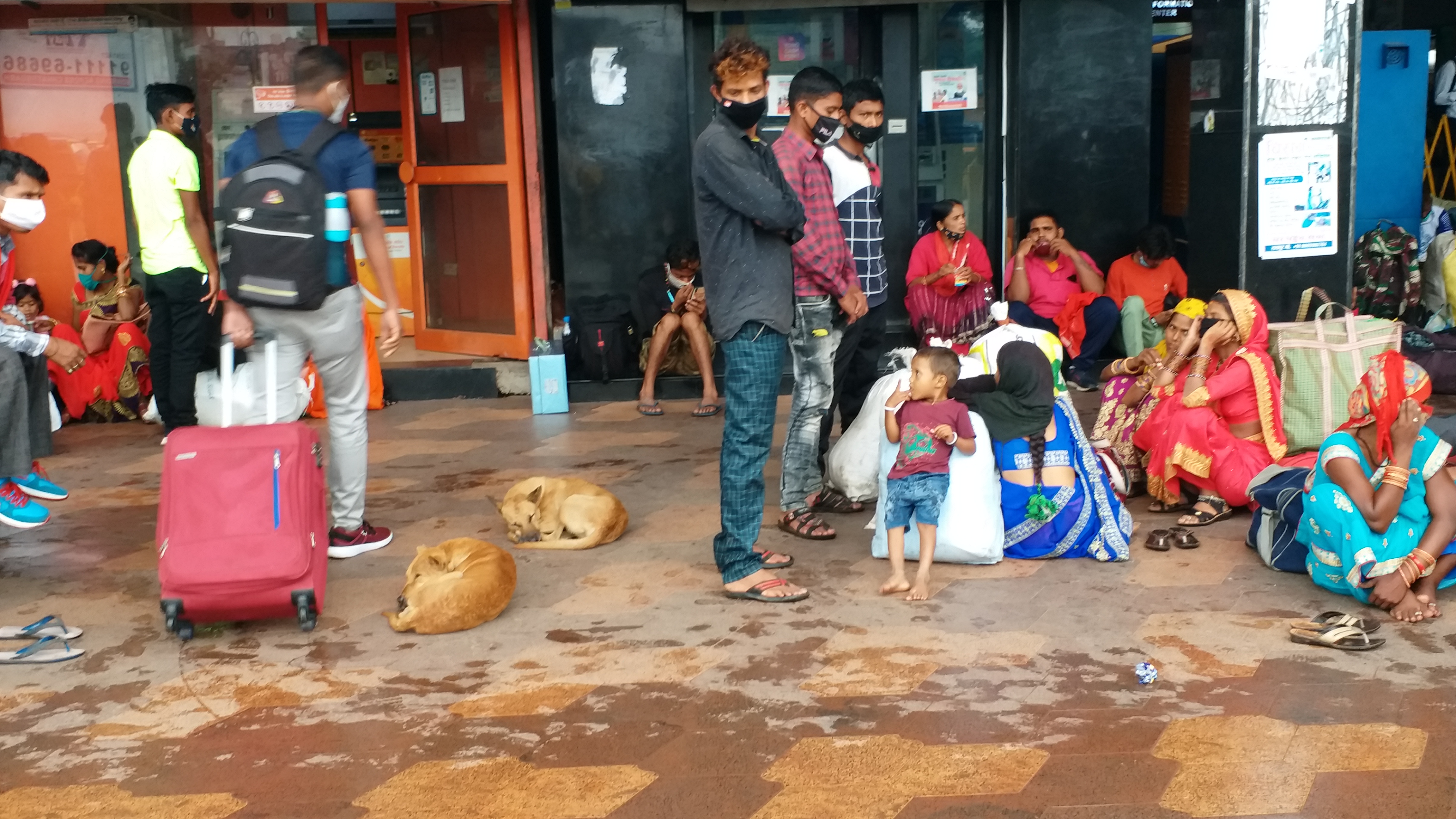 'Street Dogs' at Raipur Railway Station