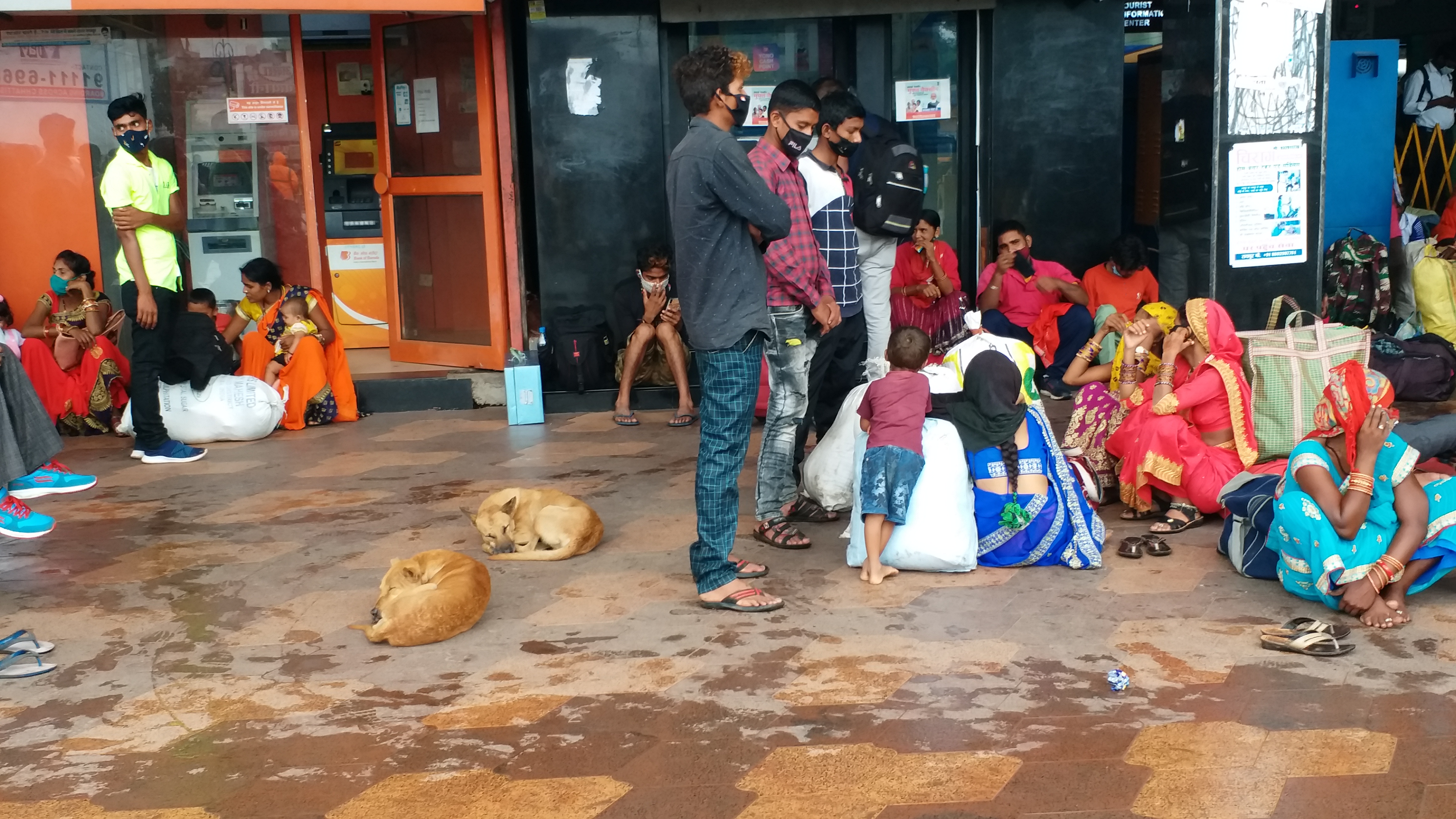 'Street Dogs' at Raipur Railway Station